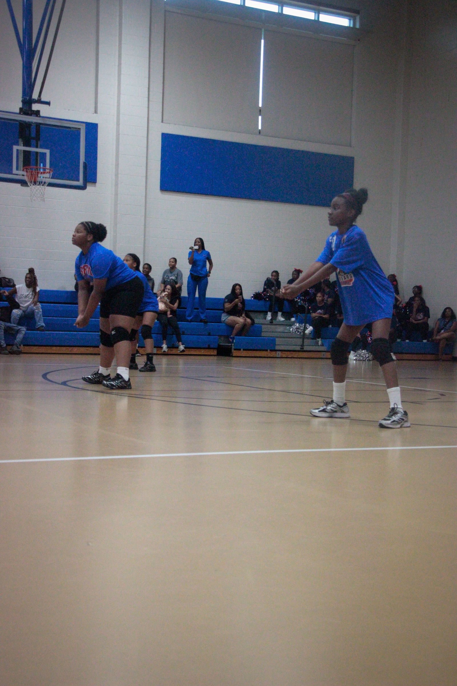 BFM Volleyball