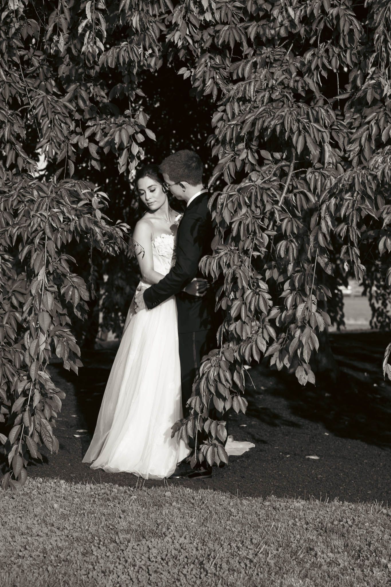 Bride and groom portrait beneath the weeping willow — Sylvanside Farm wedding in Purcellville, Virginia