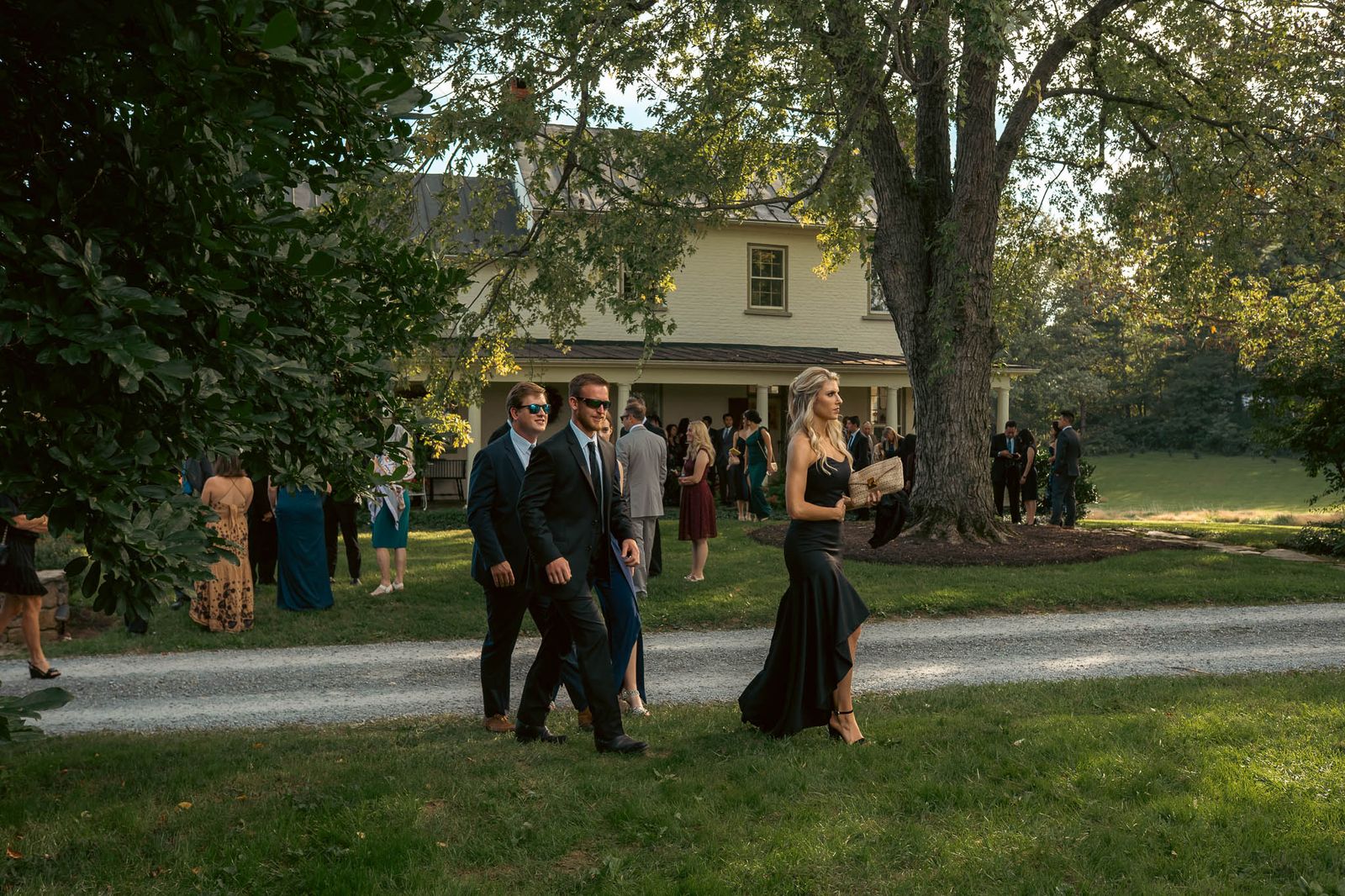 Guests gathering under the oaks before the ceremony — Sylvanside Farm wedding in Purcellville, Virginia